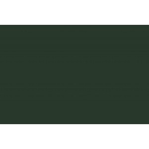 COLOR PLUS A4 120G 50FLS SANTIAGO JOTAPEL