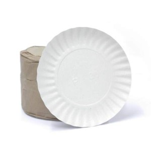 PRATO DE PAPELÃO 219MM 5B C/100 UNIDADES