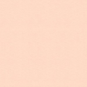 VERGE A4 180G 50FLS SALMAO JOTAPEL