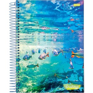 CADERNO UNIVERSITÁRIO CAPA DURA 96FLS BRASILIDADE JANDAIA
